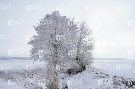 Symbolfoto Winter