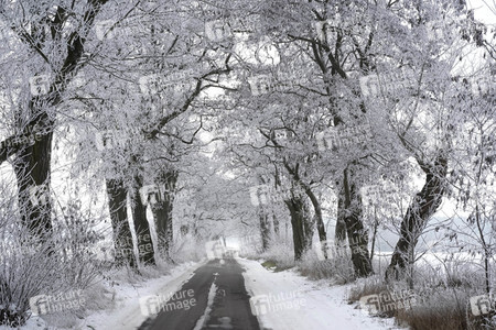 Symbolfoto Winter