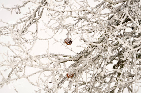 Symbolfoto Winter