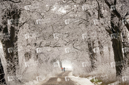 Symbolfoto Winter