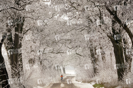 Symbolfoto Winter
