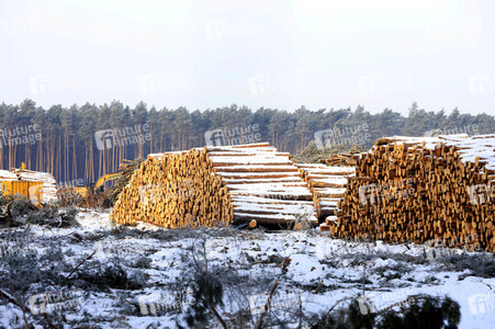 Baustelle der Tesla Gigafactory 4 in Grünheide