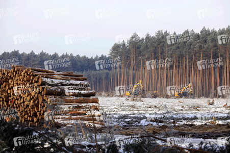 Baustelle der Tesla Gigafactory 4 in Grünheide