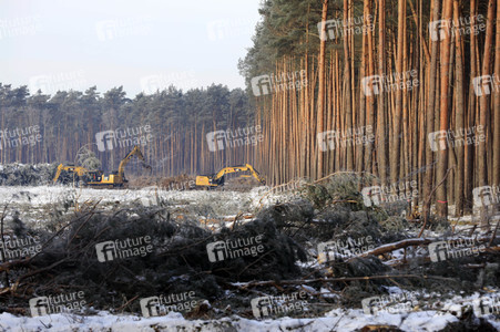 Baustelle der Tesla Gigafactory 4 in Grünheide
