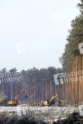 Baustelle der Tesla Gigafactory 4 in Grünheide