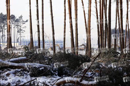 Baustelle der Tesla Gigafactory 4 in Grünheide