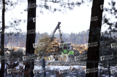 Baustelle der Tesla Gigafactory 4 in Grünheide