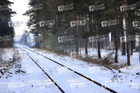 Baustelle der Tesla Gigafactory 4 in Grünheide