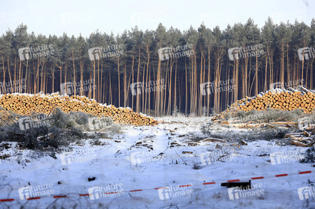 Baustelle der Tesla Gigafactory 4 in Grünheide