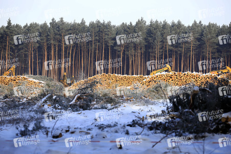 Baustelle der Tesla Gigafactory 4 in Grünheide