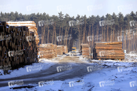 Baustelle der Tesla Gigafactory 4 in Grünheide