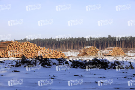 Baustelle der Tesla Gigafactory 4 in Grünheide