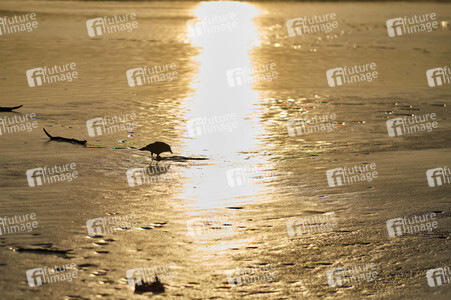 Der Maschsee in Hannover