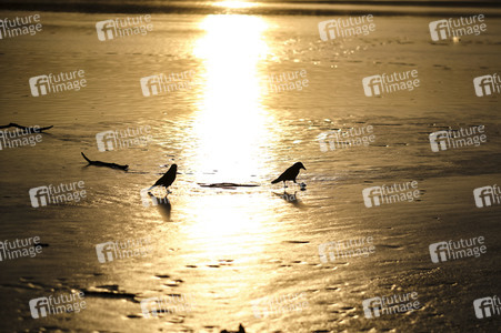 Der Maschsee in Hannover