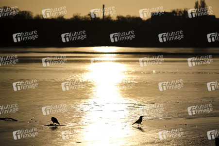 Der Maschsee in Hannover