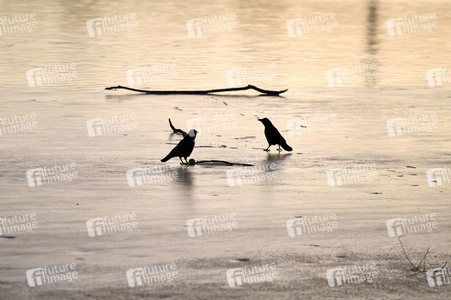 Der Maschsee in Hannover