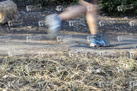 Symbolfoto Baumwurzeln unter dem Gehweg