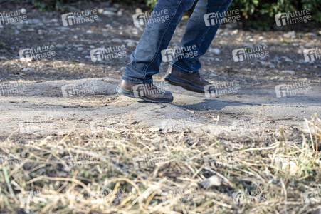 Symbolfoto Baumwurzeln unter dem Gehweg