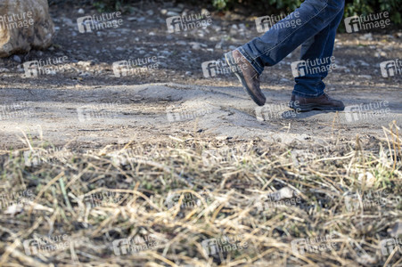 Symbolfoto Baumwurzeln unter dem Gehweg