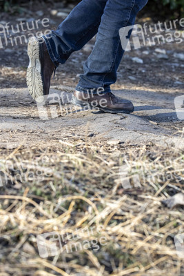 Symbolfoto Baumwurzeln unter dem Gehweg