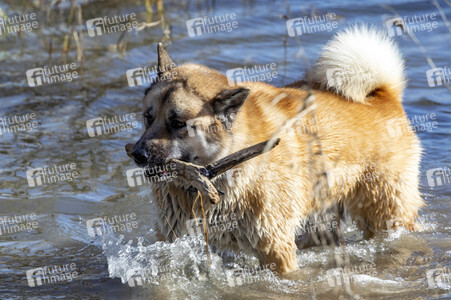 Freizeitsport in Köln