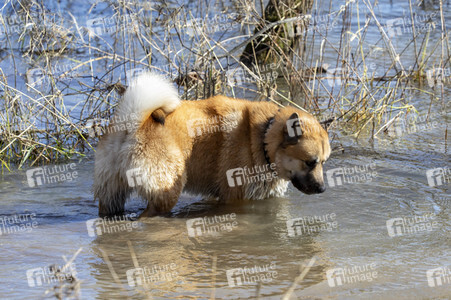 Freizeitsport in Köln