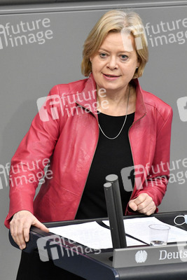 212. Sitzung des Deutschen Bundestages in Berlin