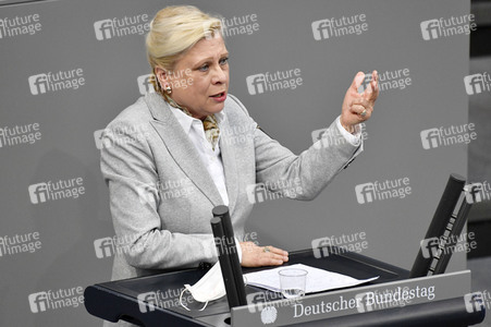 212. Sitzung des Deutschen Bundestages in Berlin