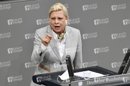 212. Sitzung des Deutschen Bundestages in Berlin