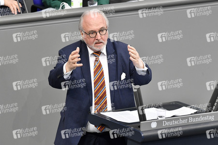 212. Sitzung des Deutschen Bundestages in Berlin