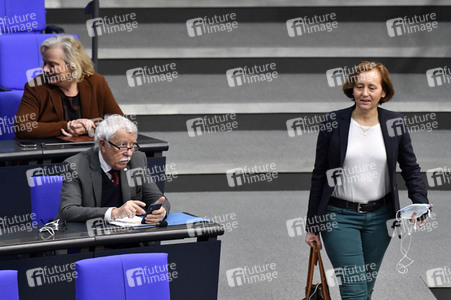 213. Sitzung des Deutschen Bundestages in Berlin