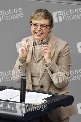 213. Sitzung des Deutschen Bundestages in Berlin