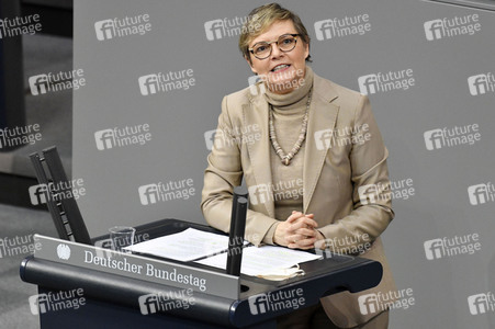 213. Sitzung des Deutschen Bundestages in Berlin