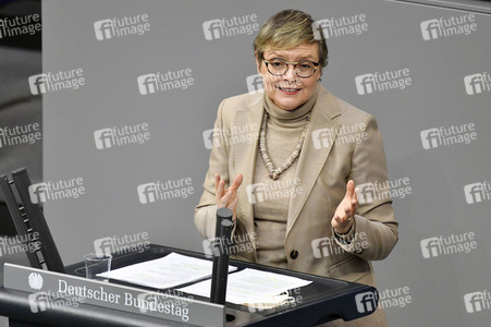 213. Sitzung des Deutschen Bundestages in Berlin