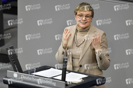 213. Sitzung des Deutschen Bundestages in Berlin