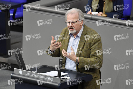 213. Sitzung des Deutschen Bundestages in Berlin