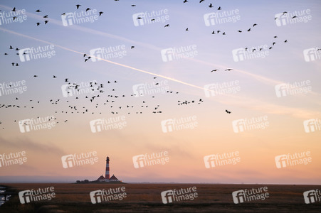 Leuchtturm Westerheversand bei Westerhever