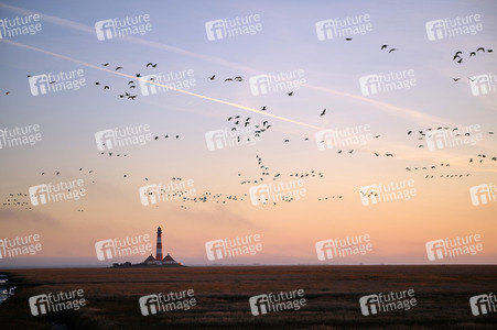 Leuchtturm Westerheversand bei Westerhever