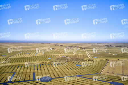 Küstenregion bei Westerhever