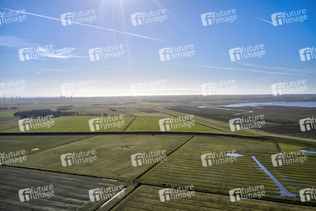 Küstenregion bei Westerhever