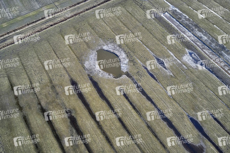 Küstenregion bei Westerhever