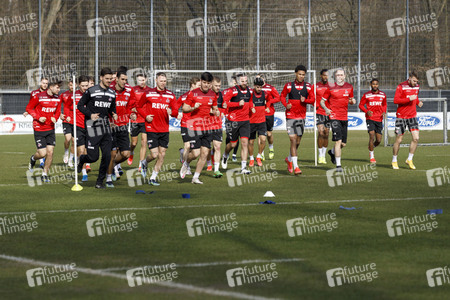 Training des 1. FC Köln