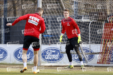 Training des 1. FC Köln