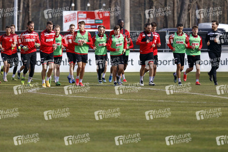 Training des 1. FC Köln