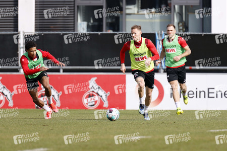 Training des 1. FC Köln