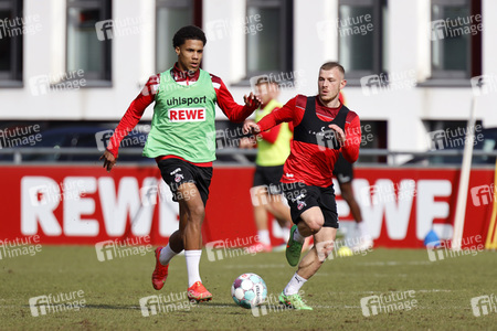 Training des 1. FC Köln