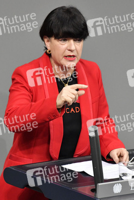 215. Sitzung des Deutschen Bundestages in Berlin