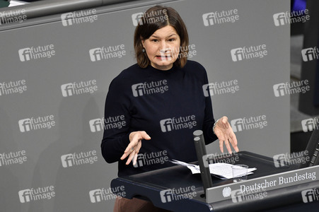 215. Sitzung des Deutschen Bundestages in Berlin