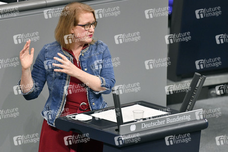 215. Sitzung des Deutschen Bundestages in Berlin