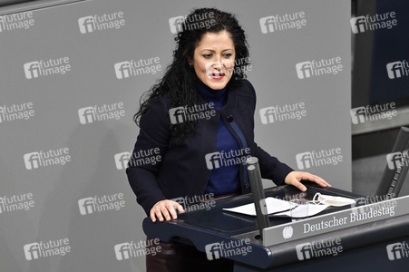 215. Sitzung des Deutschen Bundestages in Berlin